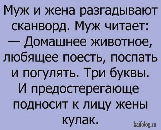 Муж и жена разгадывают сканворд Муж читает Домашнее животное любящее поесть поспать и погулять Три буквы И предосгерегающе подносит к лицу жены Кулак кашпо