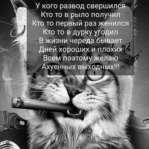 У кого развод свершил Кто то в рыло попу _то первый раз ней хороших и ппойи Всвм поэтомудікедаю Ахуенцых ходнЬіх