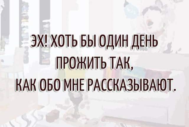 ЭХ ХОТЬ БЫ ОДИН ДЕНЬ ПРОЖИТЬ ТАК КАК ОБО МНЕ РАССКАЗЫВДЮТ