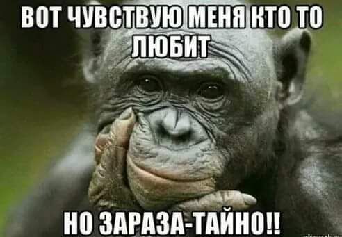 вот чувствую ШШ ТВ ТВ но здгдзмдинш