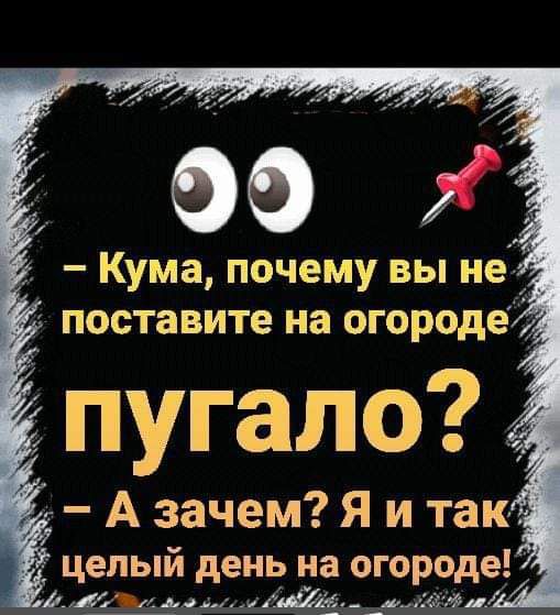 Кума почему вы не поставите на огороде пугало дд А зачем Я и так целый день на огороде _ а