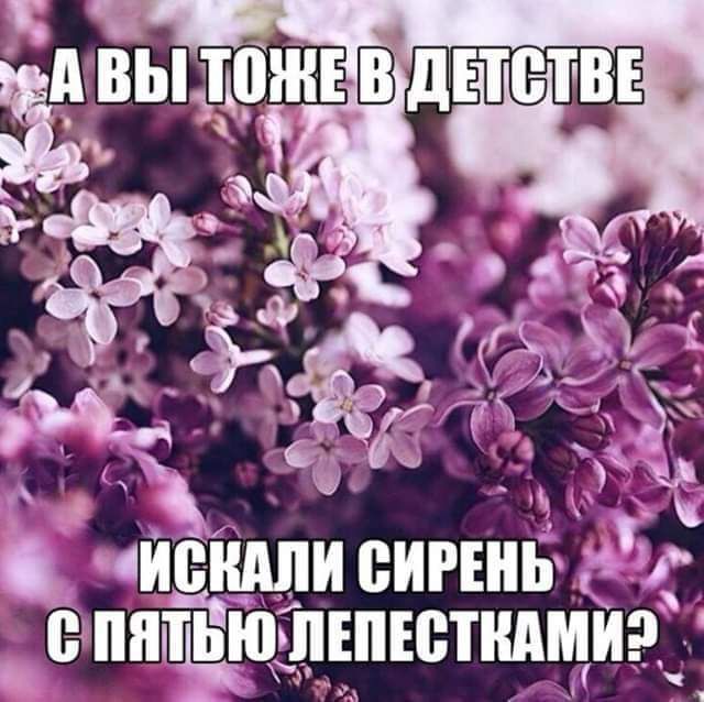 Пеши сирень аппцюьпшюткдмиэ