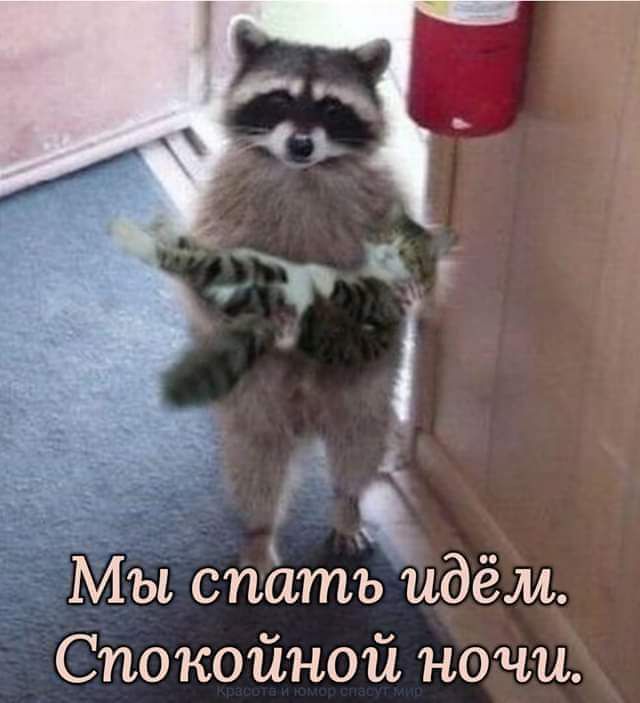 Мы спать идём Спокойной ночи