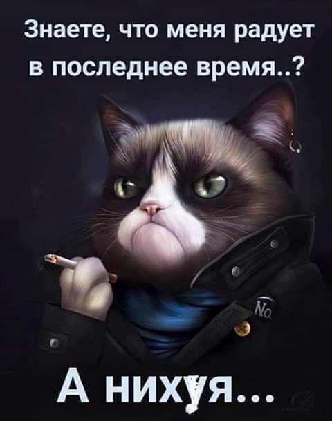 Знаете что меня радует в последнее время А нихуя