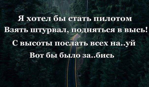 Я хотел бы стать пилотом Взять штурвал подняться в высь С высоты послать всех науй Вот бы был забись