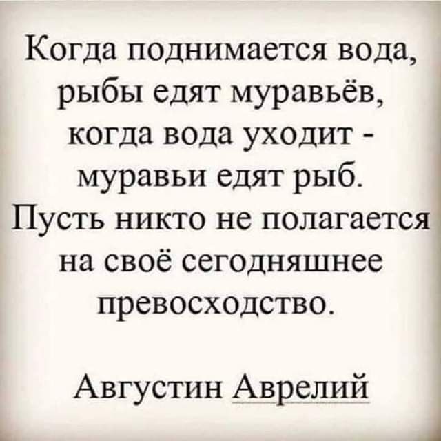 Когда поднимается вода рыбы едят муравьёв когда вода уходит муравьи едят рыб_ Пусть никто не полагается на свое сегодняшнее і превосходство Августин Аврелий