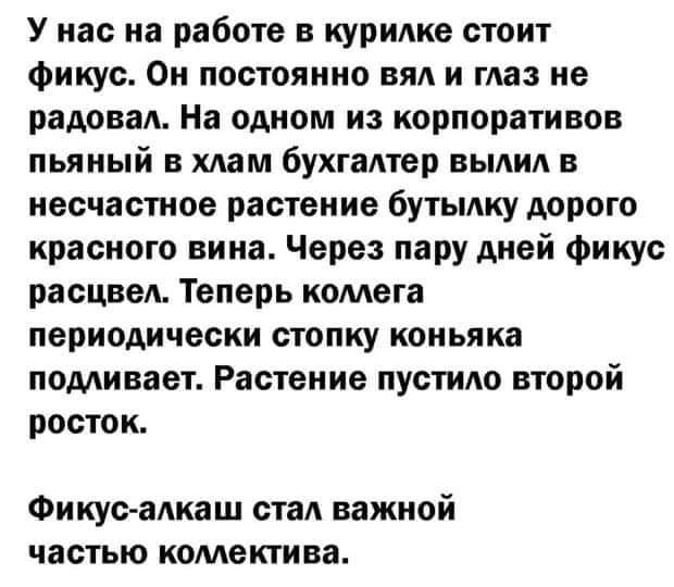 У нас на работе в курилке стоит Фикус Он постоянно нм и глаз не радовал На одном из корпоративов пьяный в хлам бухгалтер выпи в несчастное растение бутыдку дорого красного вина Через пару дней Фикус расцвед Теперь комета периодически стопку коньяка помивает Растение пустию второй росток Фикус алкаш ста важной частью комектива