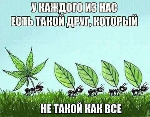 Шнпжщоюпюшв гп інітдйои или все