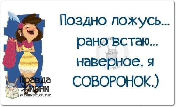 Поздно ложусь рано встаю наверное я СОВОРОНОК