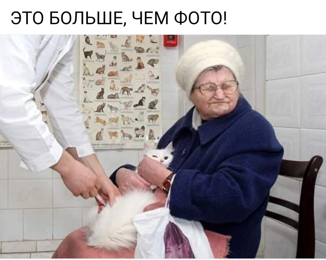 ЭТО БОЛЬШЕ ЧЕМ ФОТО _ г