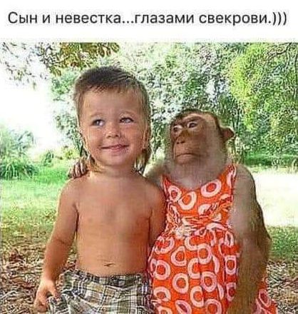 Сын и невесткагпазами свекрови