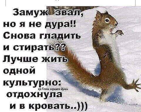 33мужзвЪп но я не дура Снова гладить д и стирать Лучше жить Ульпана отдохнула и в кровати