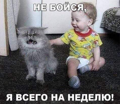 Я ВСЕГО НА НЕДЕЛЮ
