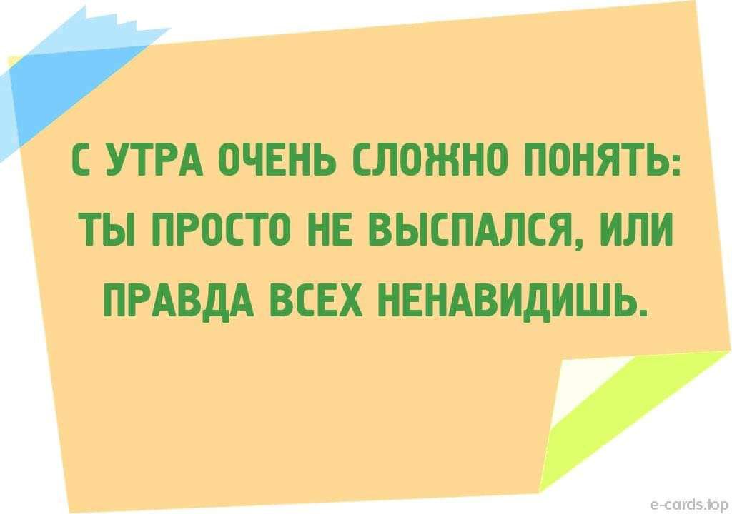 С УТРА ОЧЕНЬ СЛОЖНО ПОНЯТЬ ТЫ ПРОСТО НЕ ВЫЕПАЛСЯ ИЛИ ПРАВДА ВСЕХ НЕНАВИДИШЬ