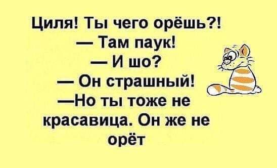 Циля Ты чего орёшь Там паук И шо Он страшный Но ты тоже не красавица Он же не орёт