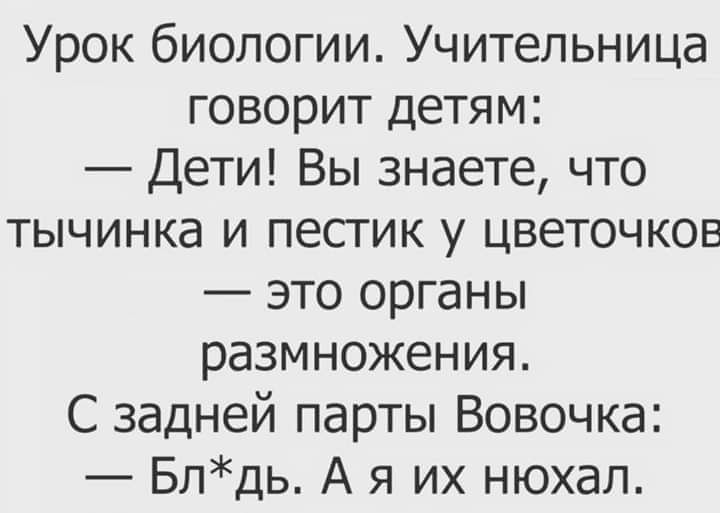 Урок биологии Учительница говорит детям Дети Вы знаете что тычинка и пестик у цветочков это органы размножения С задней парты Вовочка Блдь А я их нюхал