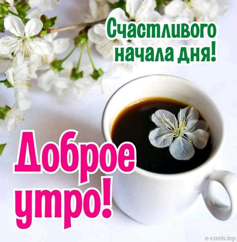 К В Счастливого начададня