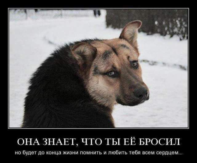 ОНА ЗНАЕТ ЧТО ТЫ ЕЁ БРОСИЛ но буде нпмнипь и то гей деем