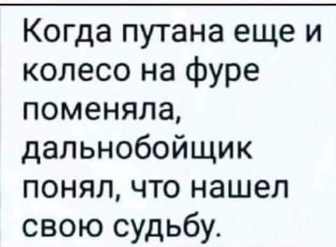 Когда путана еще и колесо на фуре поменяла дальнобойщик понял что нашел свою судьбу