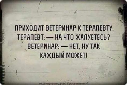 1 ПРИХОДИТ ВЕТЕРИНАР К ТЕРАПЕВТ ТЕРАПЕВТ НА ЧТО ЖАПУЕТЕСЬ _ветгриндинвт ну ТАК кнждый можт