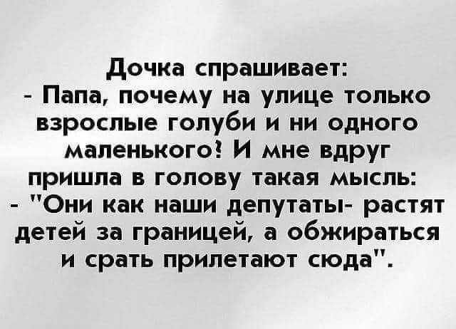 дочка спрашивает Папа почему на улице только взрослые голуби и ни одного маленького И мне вдруг пришла в голову такая мысль Они как наши делутаты растят детей за границей обжираться и срать прилетают сюда