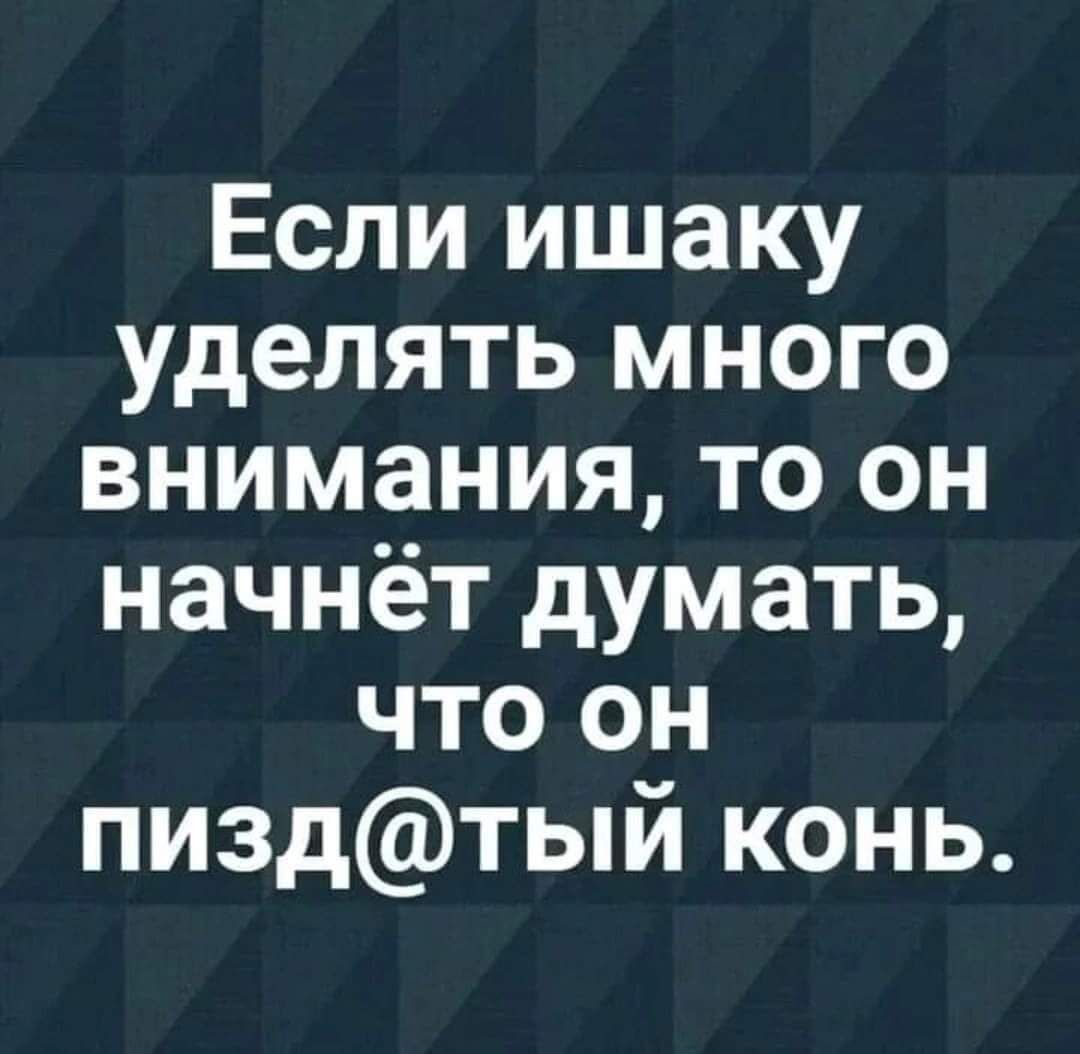 Если ишаку уделять много внимания то он начнёт думать что он пиздтый конь