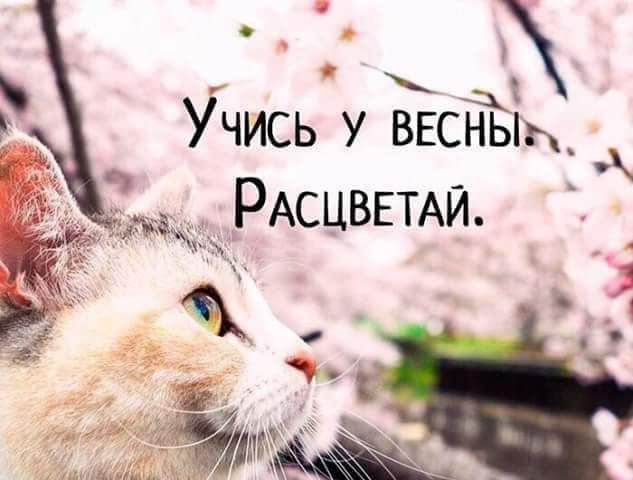 Учись у ввсньід РАСЦВЕТАЙ