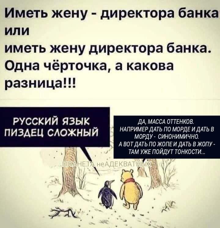 Иметь жену директора банка или иметь жену директора банка Одна чёрточка а какова разница РУССКИЙ ЯЗЫК ПИЗАЕЦ САОЖНЫЙ