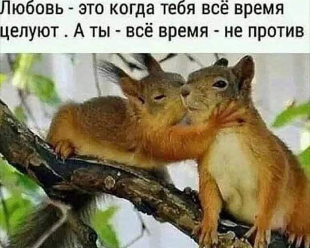 ю овь это когда тет все время целуют А ты всё время не против ь