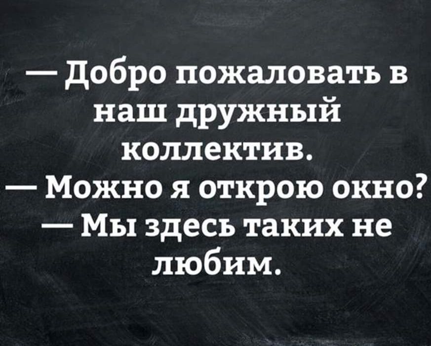 добро пожаловать в наш дружный коллектив Можно я открою окно Мы здесь таких не любим