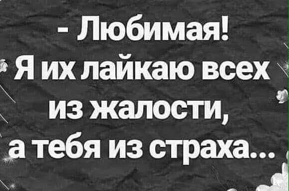 Любимая Я их лайкаю всех 4 из жалости тебя из страха