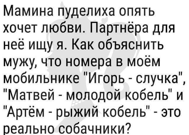 Мамина пуделиха опять хочет любви Партнёра для неё ищу я Как объяснить мужу что номера в моём мобильнике Игорь случка Матвей молодой кобель и Артём рыжий кобель это реально собачники