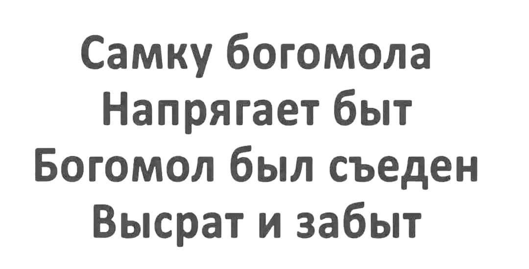 Самку богомола Напрягает быт Богомол был съеден Высрат и забыт