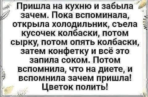 Пришла на кухню и забыла зачем Пока вспоминала открыла холодильник съела кусочек колбаски потом сырку потом опять колбаски затем конфетку и всё это запила соком Потом вспомнила что на диете и вспомнила зачем пришла Цветок попить