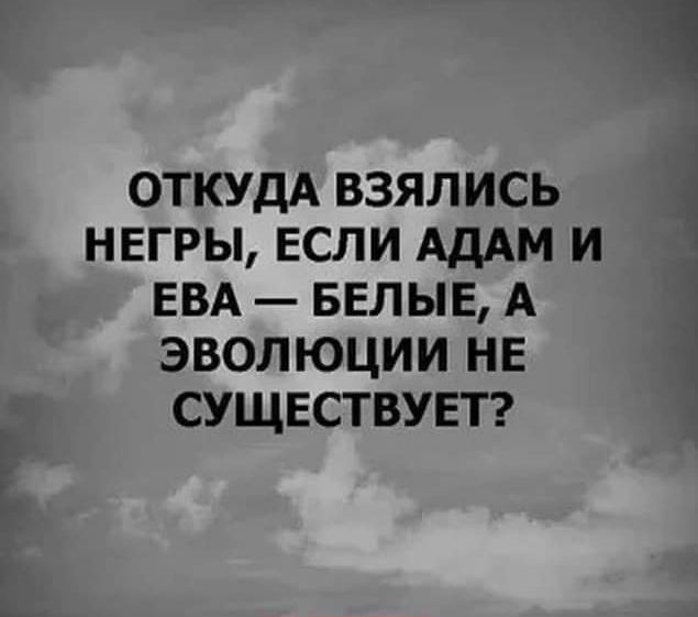 ОТКУДА ВЗЯЛИСЬ НЕГРЫ ЕСЛИ АДАМ И ЕВА БЕЛЫЕ А Э ВОЛ ЮЦИ И Н Е СУЩЕСТВУЕТ