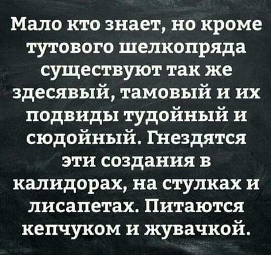 Мало кто знает но кроме тутового шелкопряда существуют так же здесявый тамовый и их подвиды тудойный и сюдойный Гнездятся эти создания калидорах на стулках и лисапетах Питаются кепчуком и жувачкой