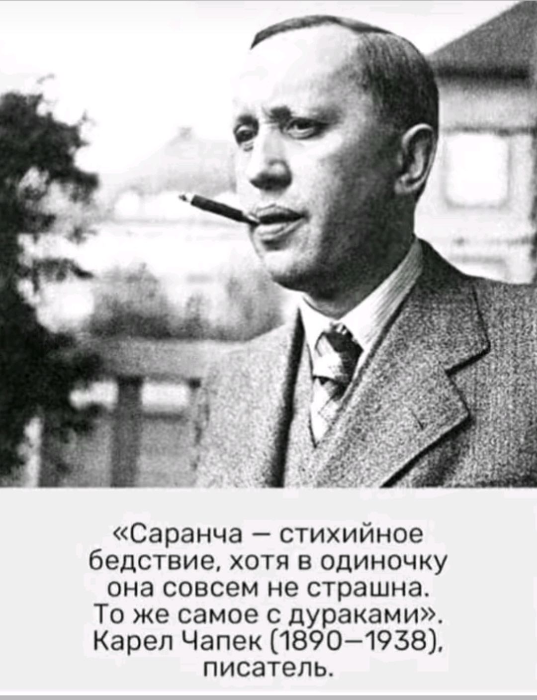 Саранча стихийное бедствие хотя в одиночку она совсем не страшна То же самое дураками Карел Чапек 18901938 писатель