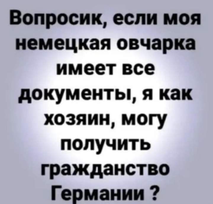 Вопросик если моя немецкая овчарка имеет все документы я как хозяин могу получить гражданство Германии