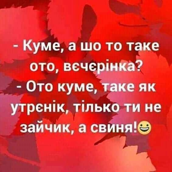 Куме а шо то таке ото веч _ Ото куме як Этренік тільк и не зайчик а св те