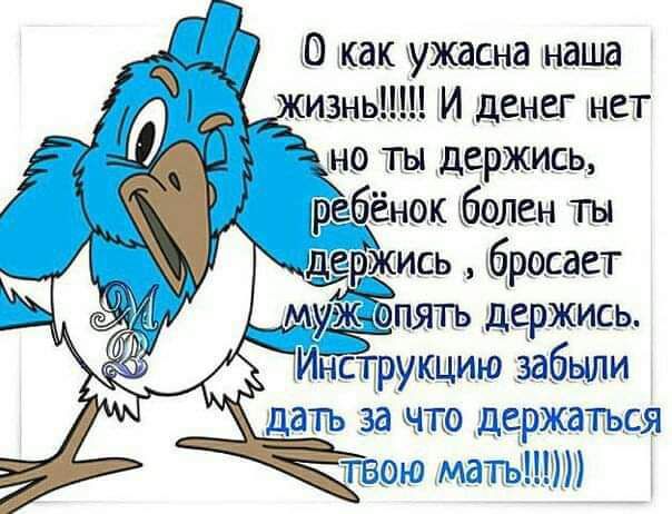 0 как ужасна наша пивными И денег нет но ты держись ребёнок болен джись бросает муж пягь держись Инструкцию забыли дать за что держаться Твою МдТТЫЩт