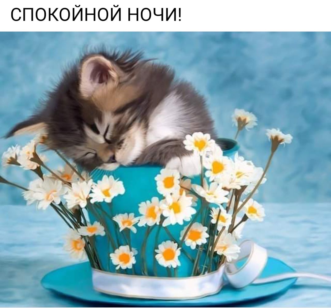 СПОКОЙНОЙ НОЧИ З _