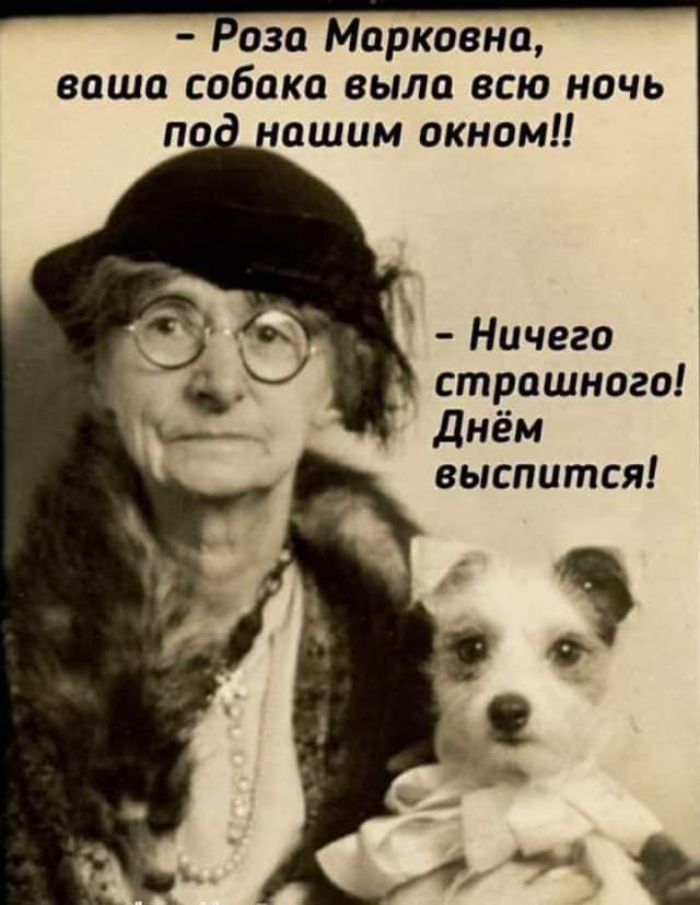 аза Марковна ваша собака выла всю ночь ашим окном Ничего страшного Днём выспится