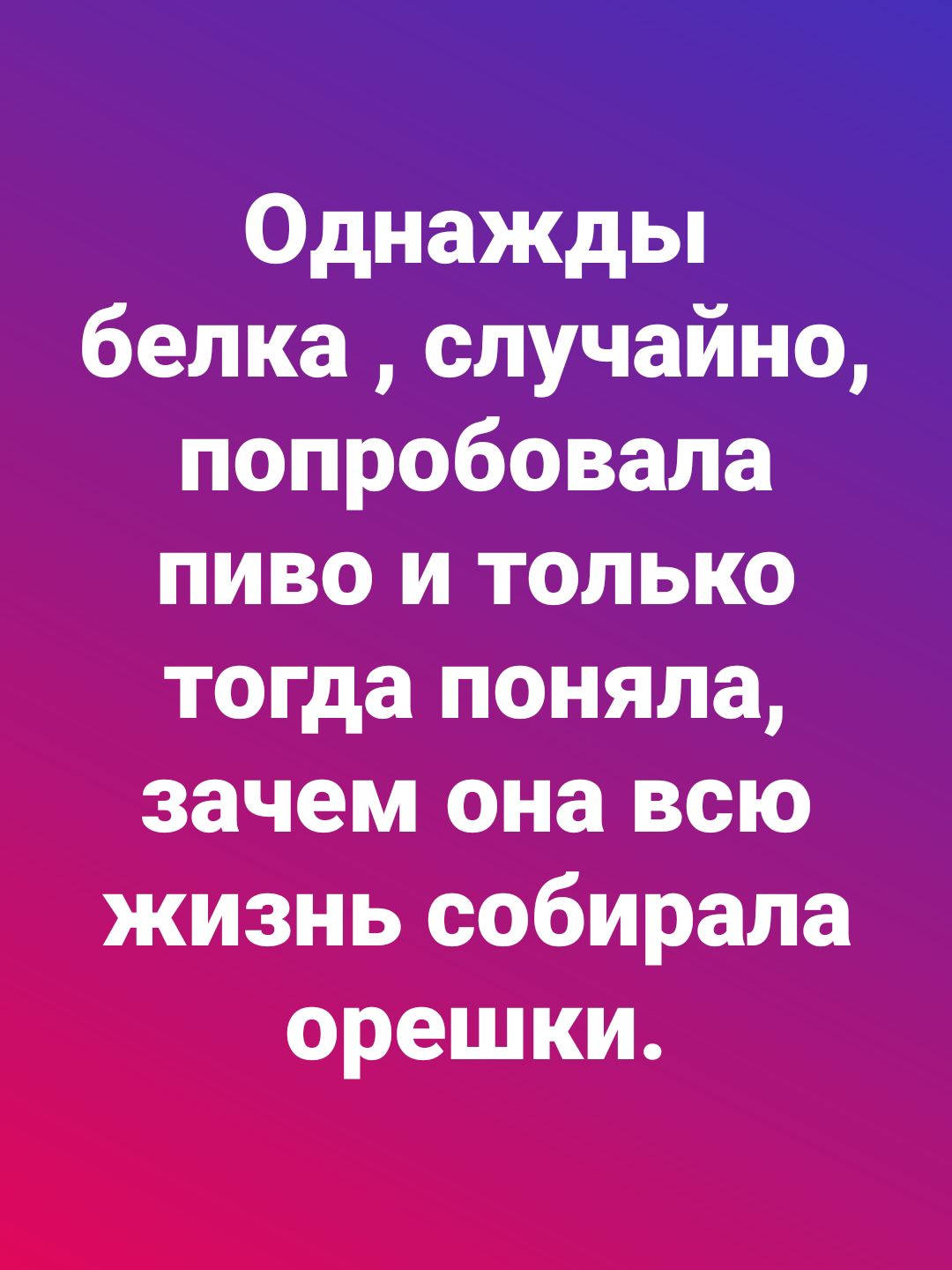 Однажды белка случайно попробовала пиво и только тогда поняла зачем она всю жизнь собирала орешки