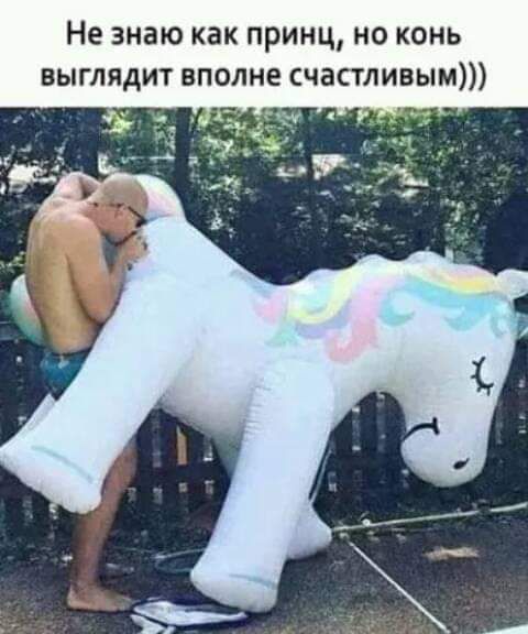 Не знаю как принц но конь выглядит вполне счастливым