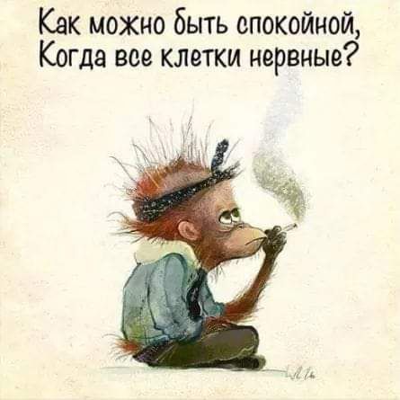 Как можно быть спокойной Когда все клетки нервные