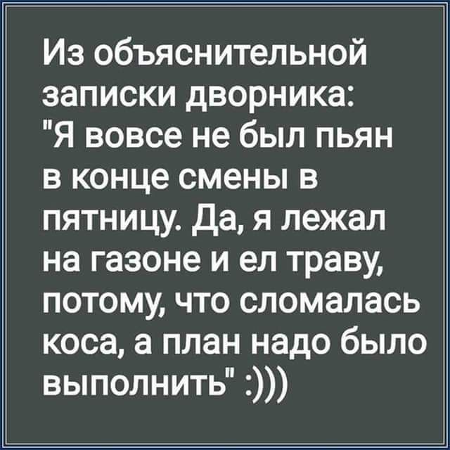 Из объяснительной записки дворника Я вовсе не был пьян в конце смены в пятницу дая лежал на газоне и ел траву потому что сломалась коса а план надо было выполнить