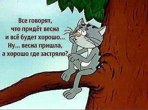 Все говорятд что придёт веснд и всё 6удетхпрпшо Ну весна пришла