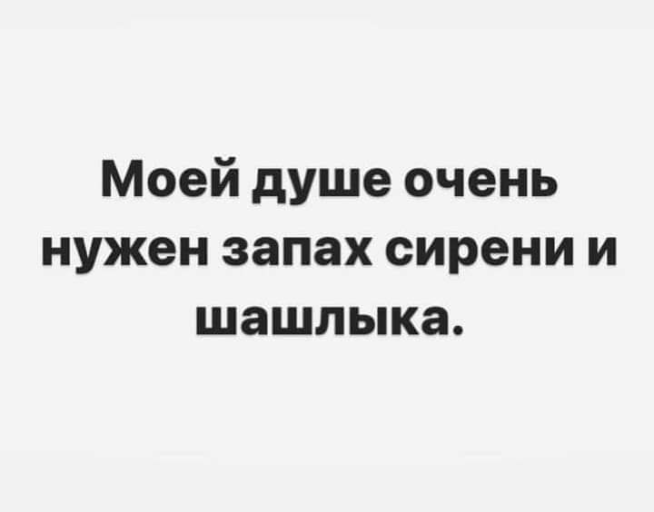 Моей душе очень нужен запах сирени и шашлыка