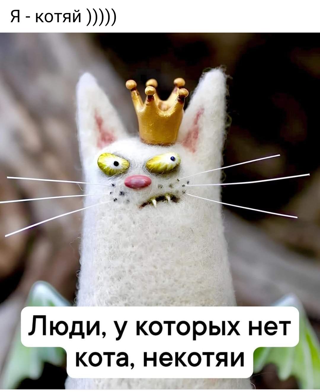 Я котяй Люди у которых нет кота некотяи