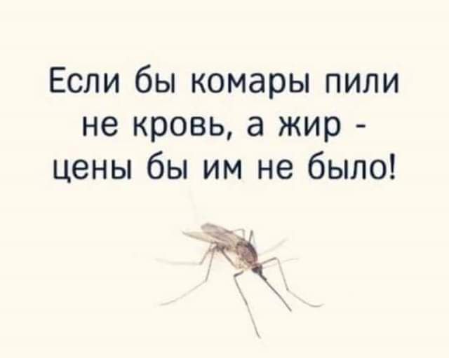 Если бы комары пили не кровь а жир цены бы им не было